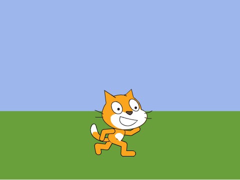 Scratch Cat walking through a field