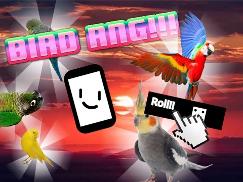 Bird RNG V1.4 | #games #all