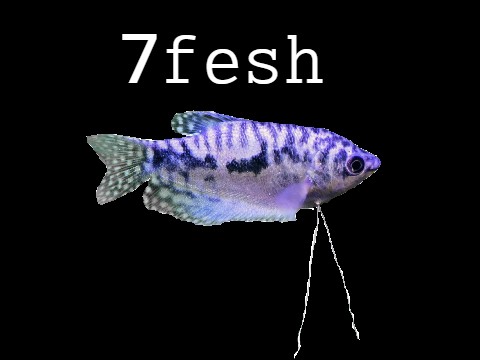 7fesh