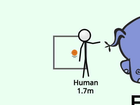 Universe Size Comparison