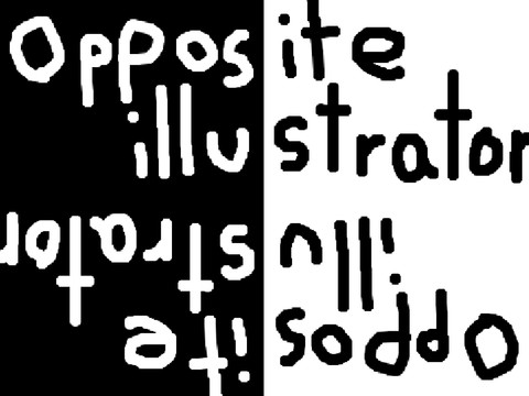 Opposite illustrator