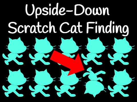 Upside-Down Scratch Cat Finding