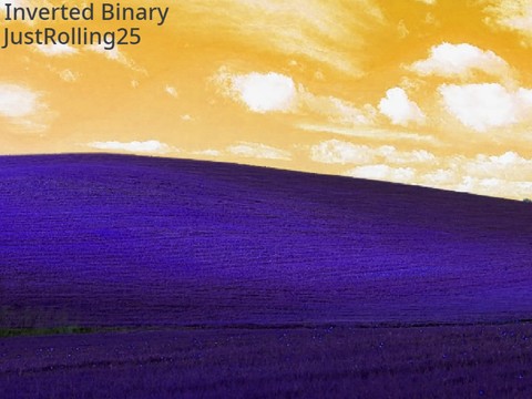 Inverted Binary