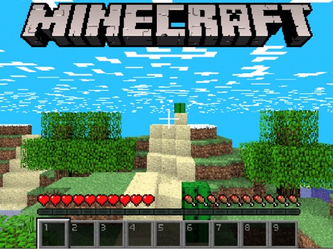 3D Minecraft