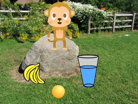 A monkey game