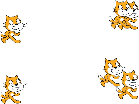fast cats