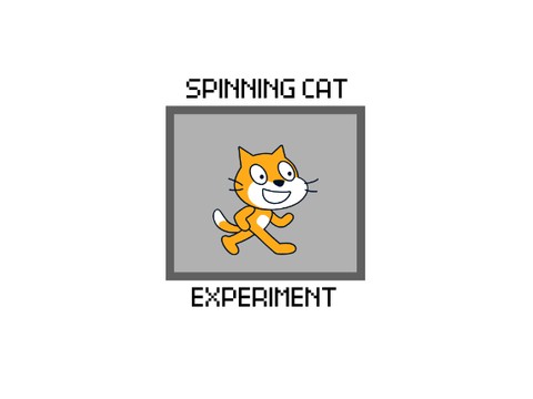 SPINNING CAT EXPERIMENT
