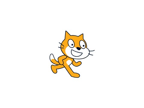 spinning cat