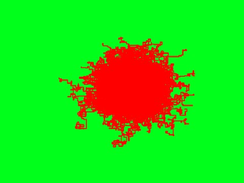 infection
