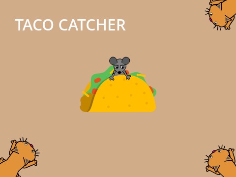 TACO CATCHER