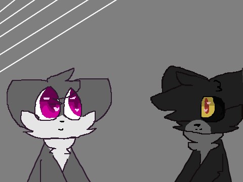 Wonderland | Meme