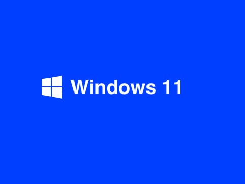 Windows 11 OS (v11.1)