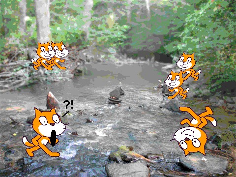 the most randomest project ever