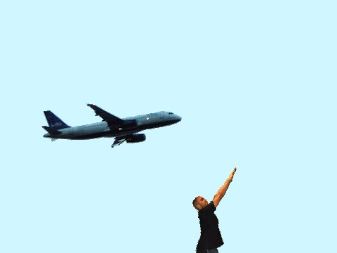 fly