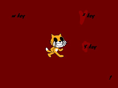 scratch cat error