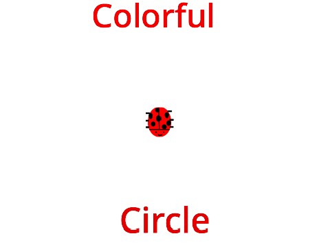 Colorful Circle
