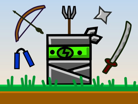 The Bug Ninja