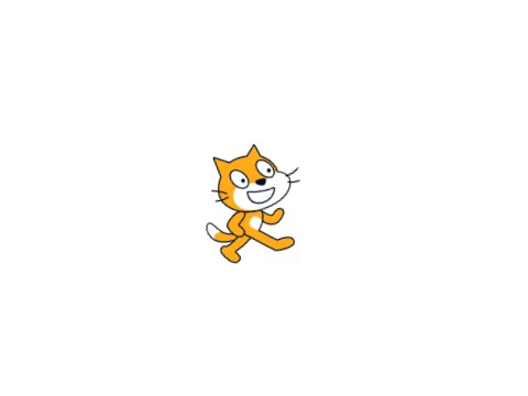 spinning cat
