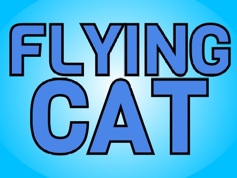 Flying Cat!
