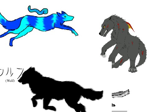 magic wolves