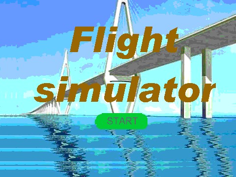 Flight simulator