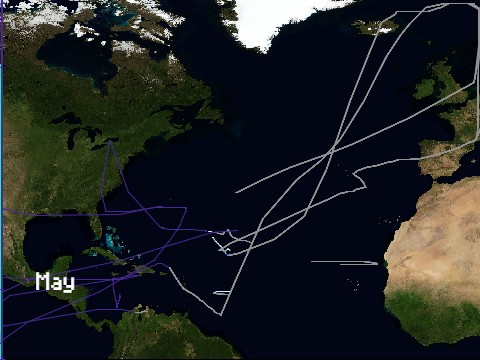 Make Your Own Hurricane Season 5 V1 21