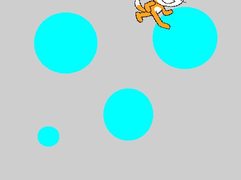 falling cat