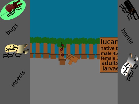 3d insectarium/ insect zoo #games #bugs #all