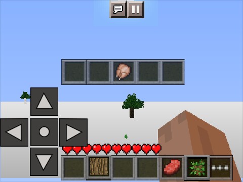 Minecraft (Mobile)