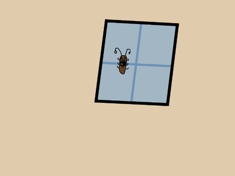 jake. the sad cockroach.