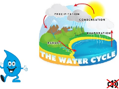 Watercycle Activity