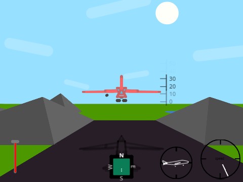 Flight sim