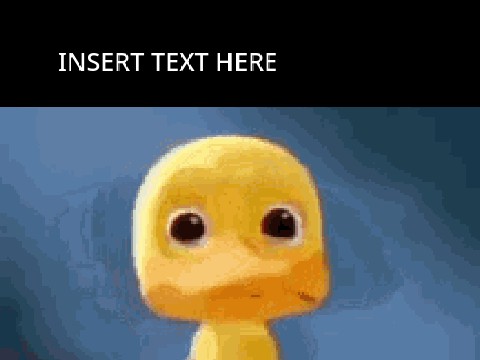 Crying Duck Template
