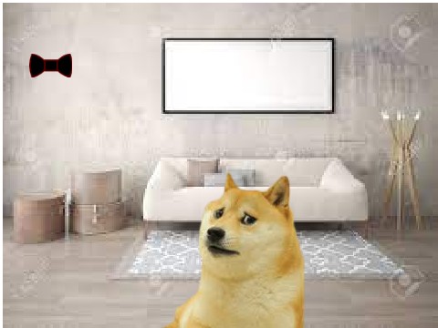 Doge Wedding