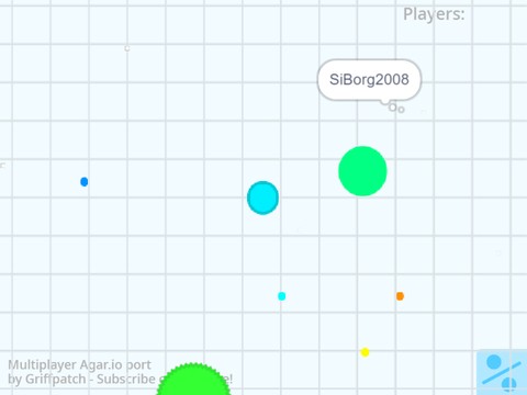 Don't play Agar.io in full screen. : r/Agario