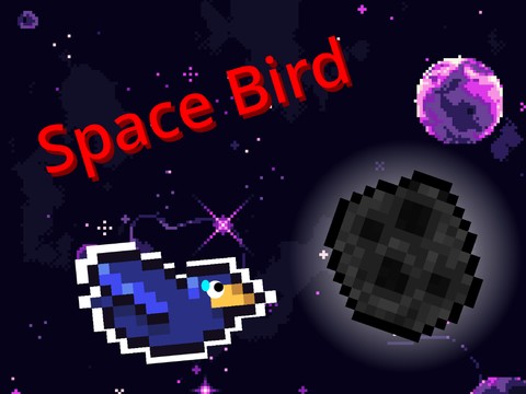 Space Bird