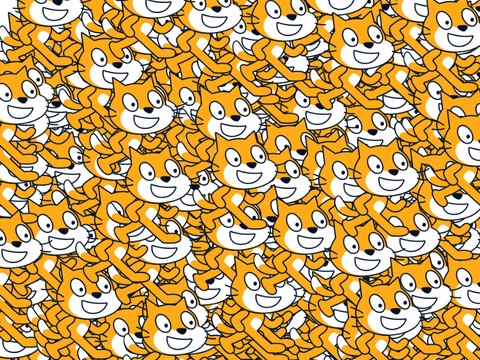 Too many cats