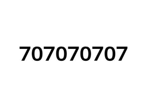 The 707070707th Project