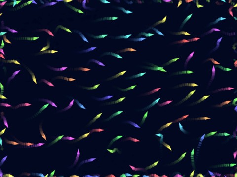 Boid Simulation With Trails