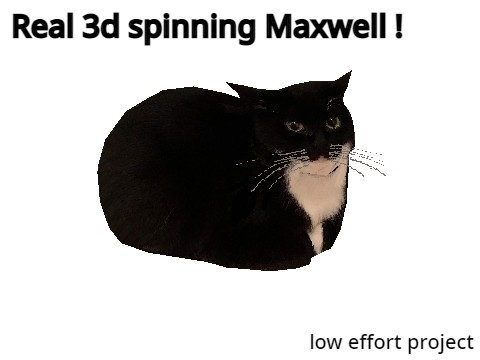 Spinning Cat GIF, Maxwell the Cat / Spinning Cat