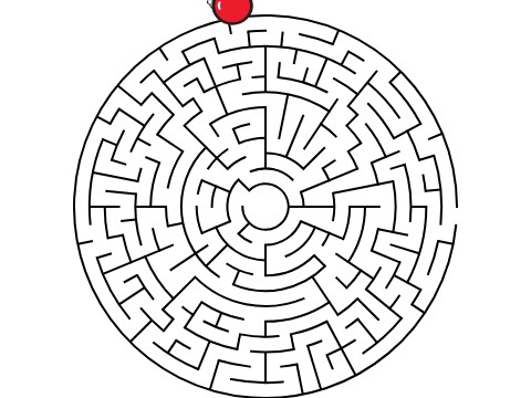 Path Complex