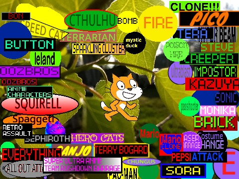 Beat up Scratch Cat V10.4.6