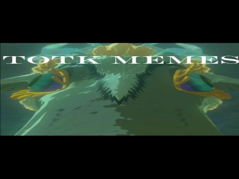 great totk memes