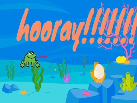 Scratch Projectfrog FROG NEW13
