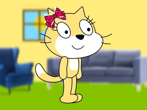 Stephanie Cat Quiz!