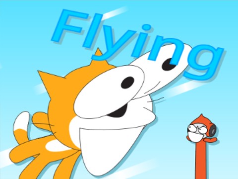 fly