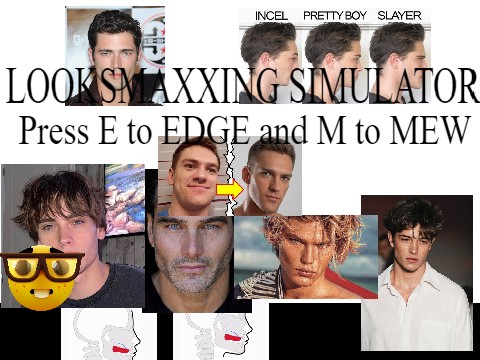 LOOKSMAXXING SIMULATOR