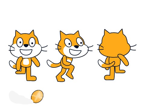 Front Facing Scratch Cat