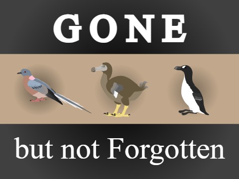 Gone but not Forgotten | Animation