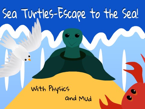 Sea Turtles with Physics